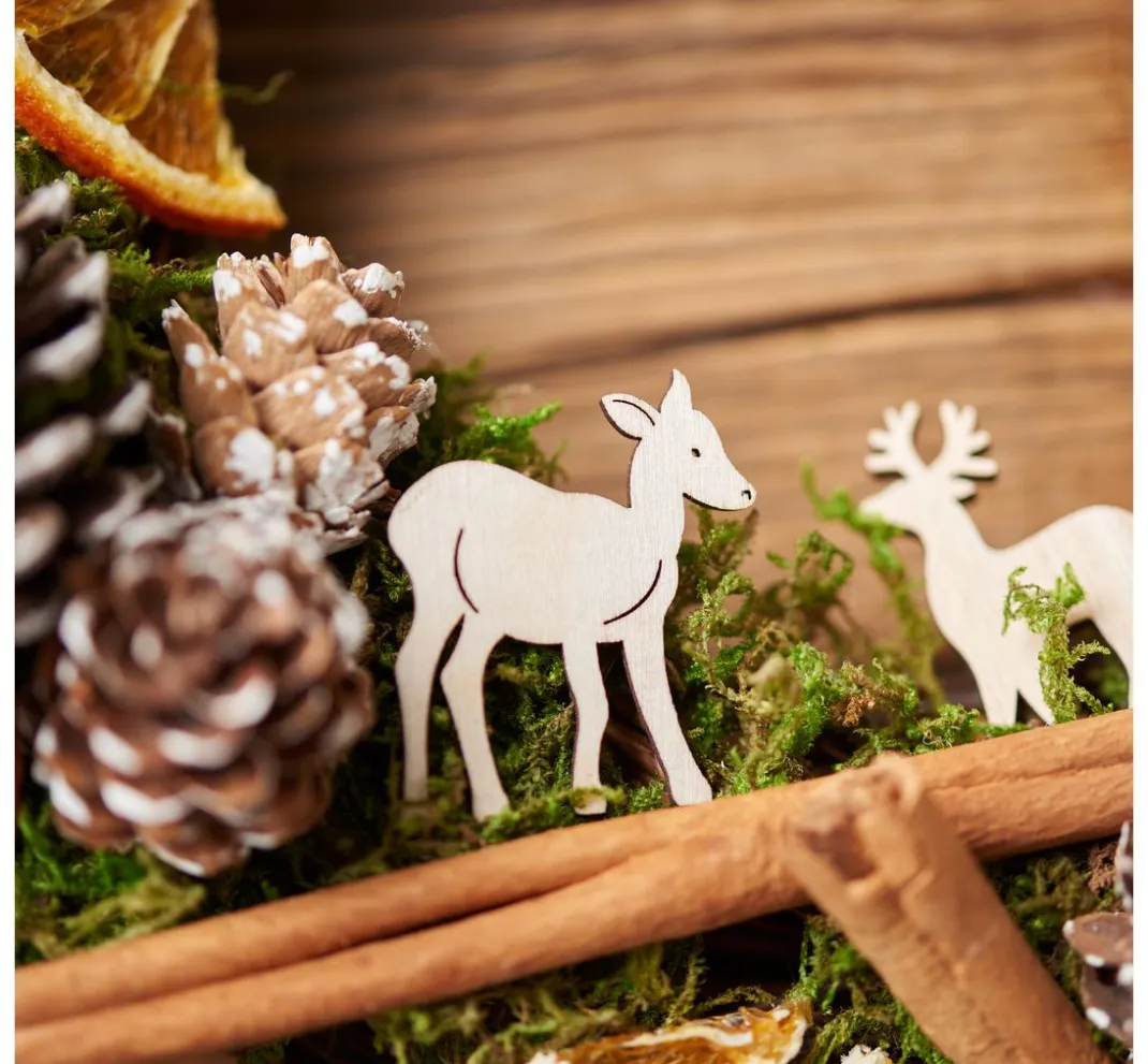 VBS Naturmaterialien>Wald Potpourri-Mix