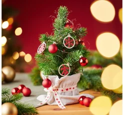 VBS Anhänger><noscript><img width=