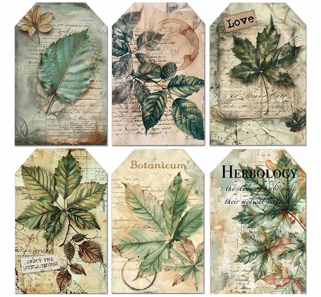 Ciao Bella Kartengestaltung|Scrapbooking>Vellum Paper "Cabinet of Curiosities"