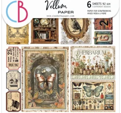 Ciao Bella Kartengestaltung|Scrapbooking><noscript><img width=