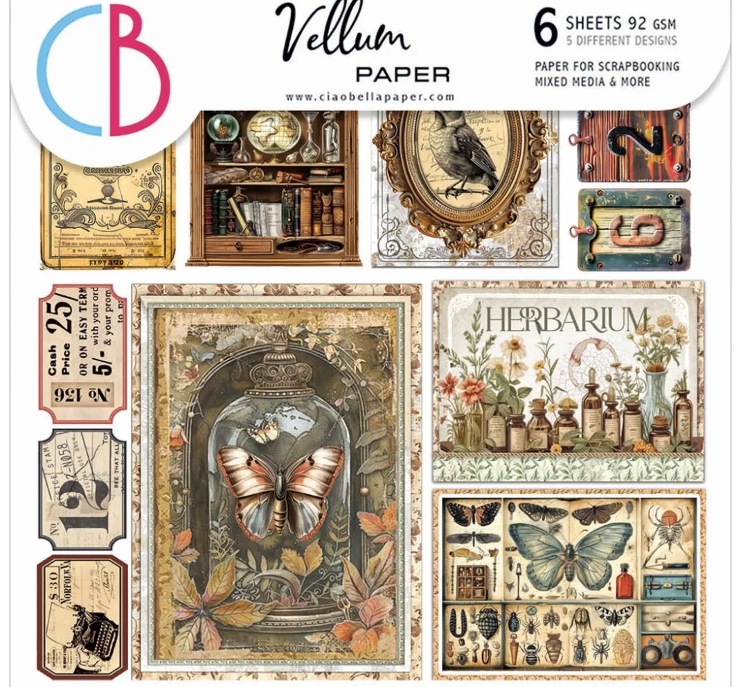 Ciao Bella Kartengestaltung|Scrapbooking>Vellum Paper "Cabinet of Curiosities"