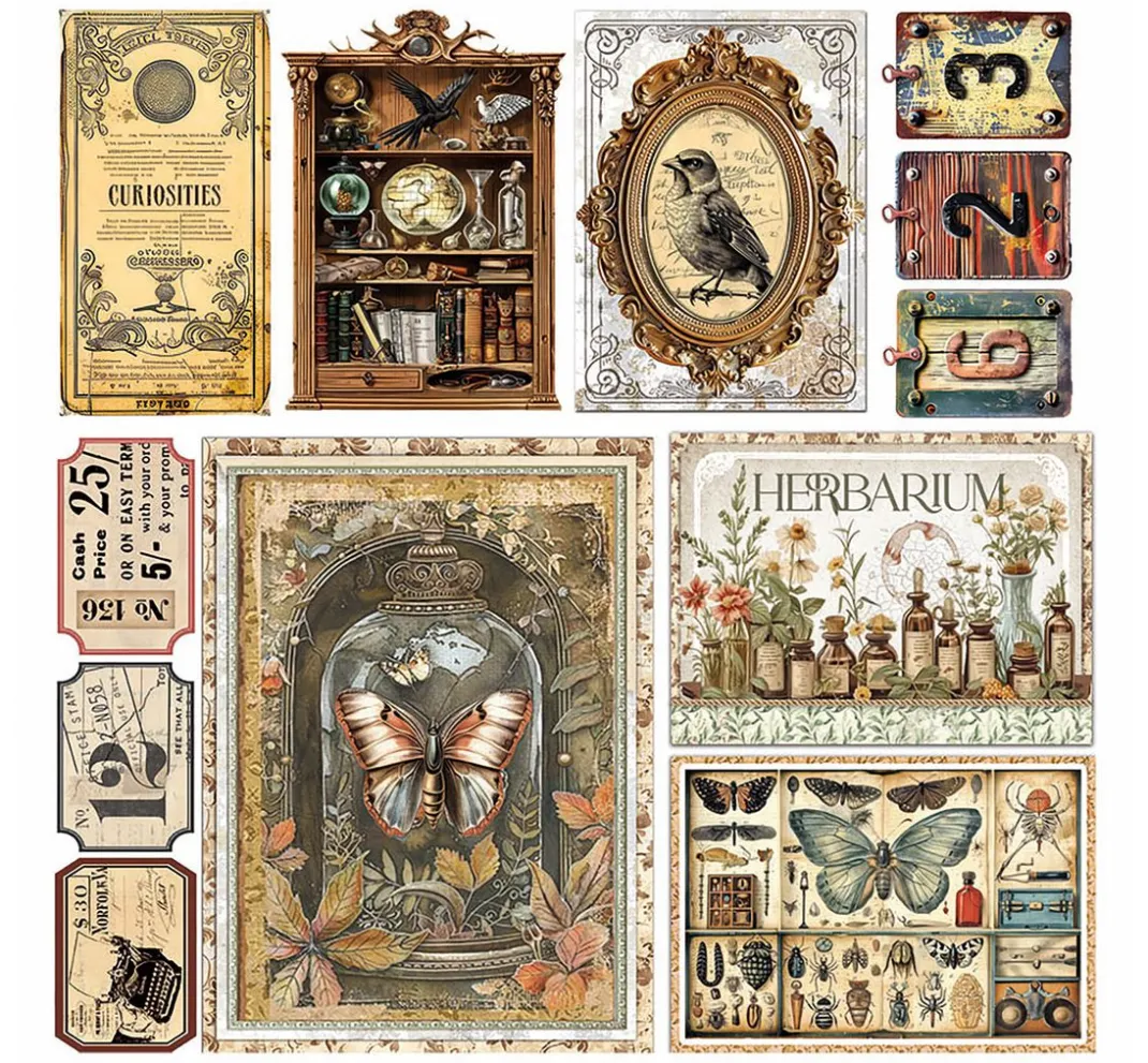 Ciao Bella Kartengestaltung|Scrapbooking>Vellum Paper "Cabinet of Curiosities"
