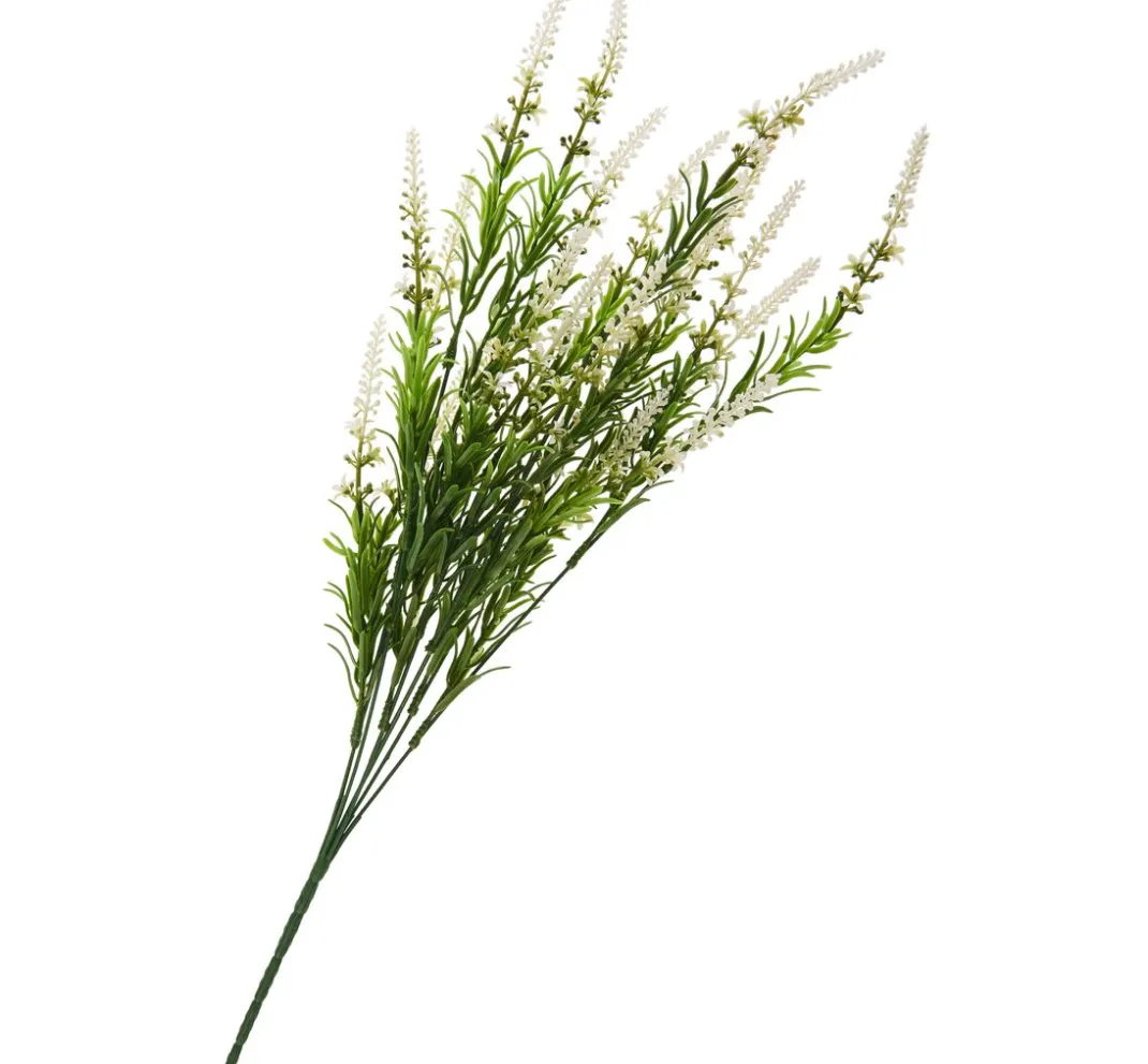 DPI Blumen>Veronica-Strauch