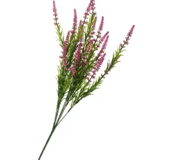 DPI Blumen>Veronica-Strauch