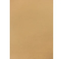 MarpaJansen Kraftpapier & -Karton|Tonpapier & Fotokarton>Vintage-Fotokarton "Palmenwedel"