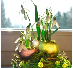 Viva Decor Effektfarbe><noscript><img width=