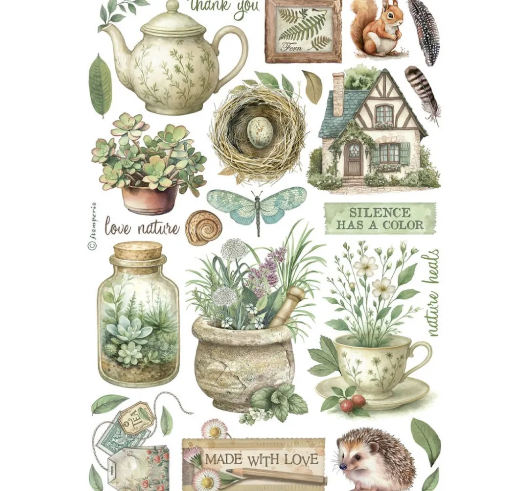 Stamperia Sticker & Klebebänder|Kartengestaltung>Washi Pad "Herbarium Silvae"