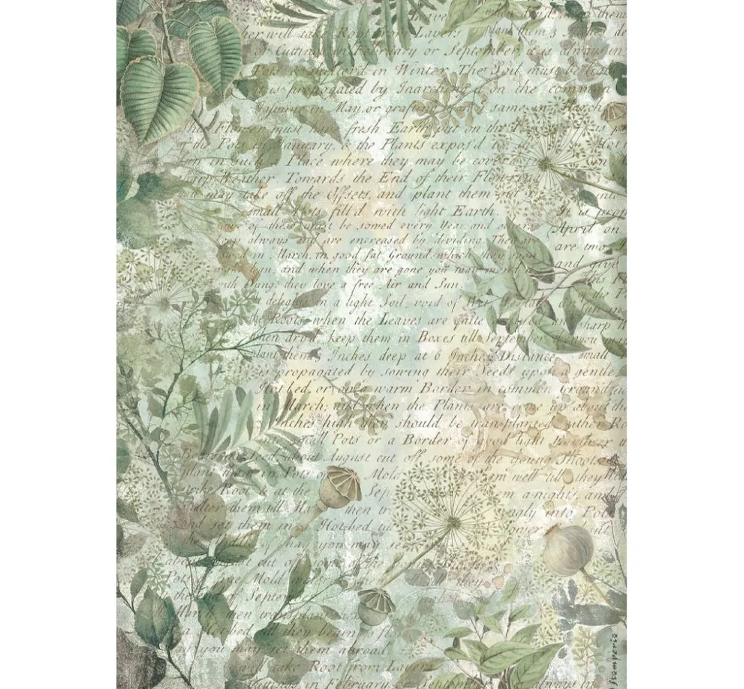 Stamperia Sticker & Klebebänder|Kartengestaltung>Washi Pad "Herbarium Silvae"