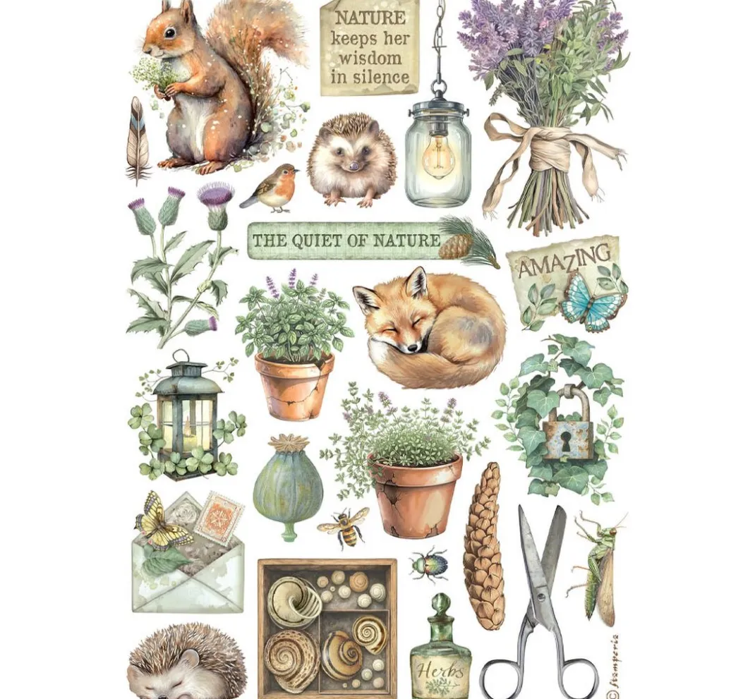 Stamperia Sticker & Klebebänder|Kartengestaltung>Washi Pad "Herbarium Silvae"