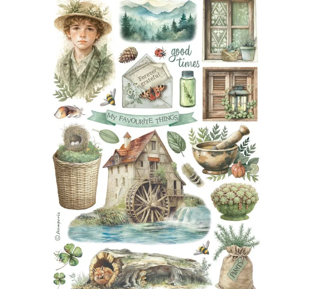 Stamperia Sticker & Klebebänder|Kartengestaltung>Washi Pad "Herbarium Silvae"