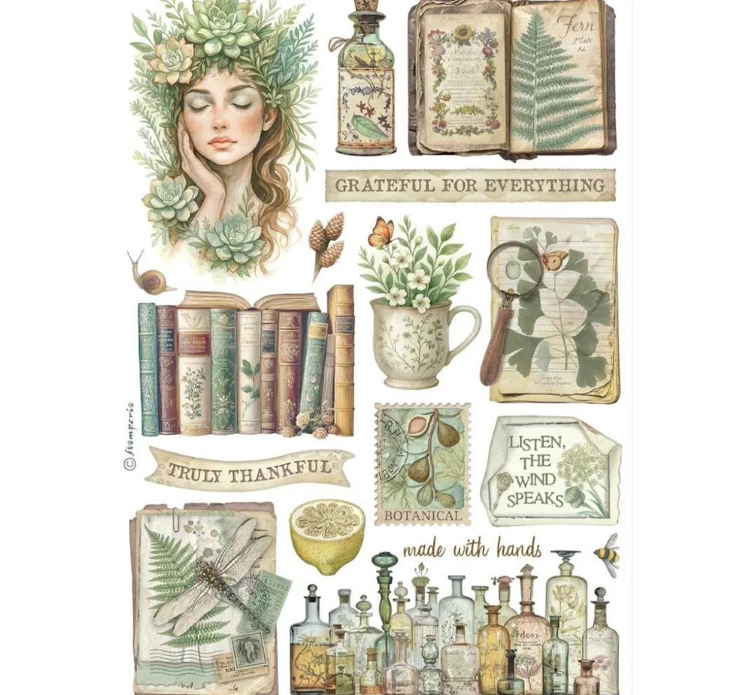 Stamperia Sticker & Klebebänder|Kartengestaltung>Washi Pad "Herbarium Silvae"