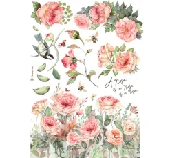 Stamperia Sticker & Klebebänder|Kartengestaltung><noscript><img width=