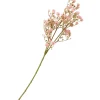 ohne Marke Blumen>Wegwarte Zweig "Evergreen"