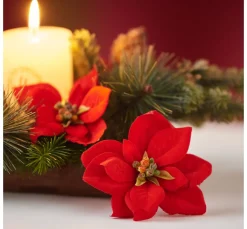 DPI Blumen|Bäume & Zweige><noscript><img width=