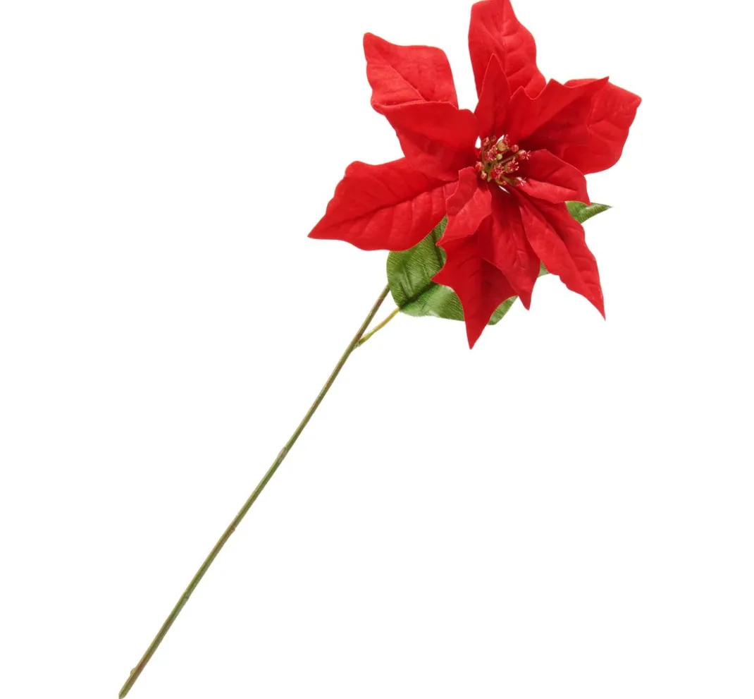 DPI Blumen>Weihnachtsstern-Zweig "Gloria", L 45 cm