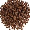 ohne Marke Zapfen|Naturmaterialien>Zapfen Casuarina